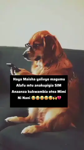 𝗘𝗺 𝗸𝘂𝘄𝗲𝗻𝗶 𝘀𝗲𝗿𝗶𝗼𝘂𝘀 𝗯𝗵𝗮𝗻 𝗮𝗰𝗵𝗲𝗻𝗶 𝘂𝘁𝗮𝗻𝗶𝗶𝗶 😂😂😂😂😅😅🙌🙌👈👈 . #tanzaniatiktok🇹🇿 #tiktokfunny #funnyvideos #swahilitiktok #foryoupage❤️❤️ 