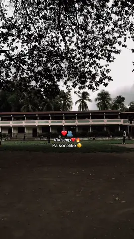 #Stendly❤️‍🩹🥀