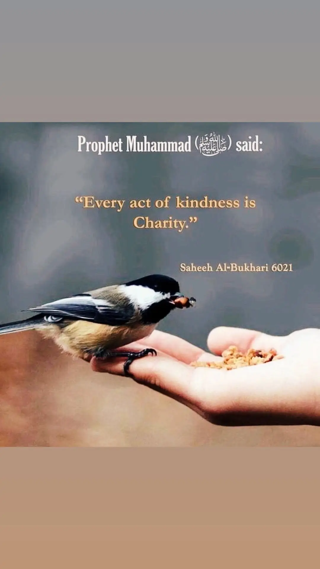 #Alhamdulillahforeverything🤲🏼❤️#TrustTheOneAndOnly☝🏼❤️ 