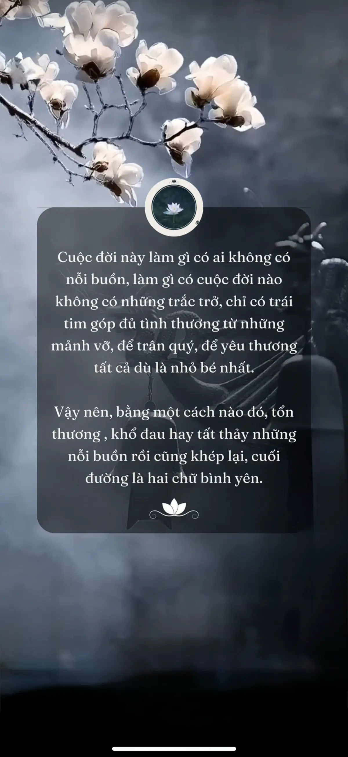 ☺️☺️#viral #phatphapnhiemmau #đichua #DaoPhatTrongTraiTimToi #motdoiannhien 