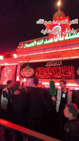 #كربلاء_المقدسة #زيارة_الأربعين #زياره_الامام_الحسين_عليه_السلام 