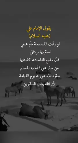 يقول علي عليه السلام #fyp #you #اعادة_النشر #اكسبلورexplore❥🕊 
