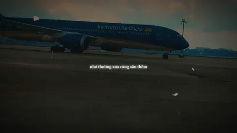cảm ơn đã cùng anh đi qua bao sóng gió ...🙂‍↕️🛫🛫🛫   #CapCut  #vietnamairlines #CapCut #xhtiktok #tâmtrạng 