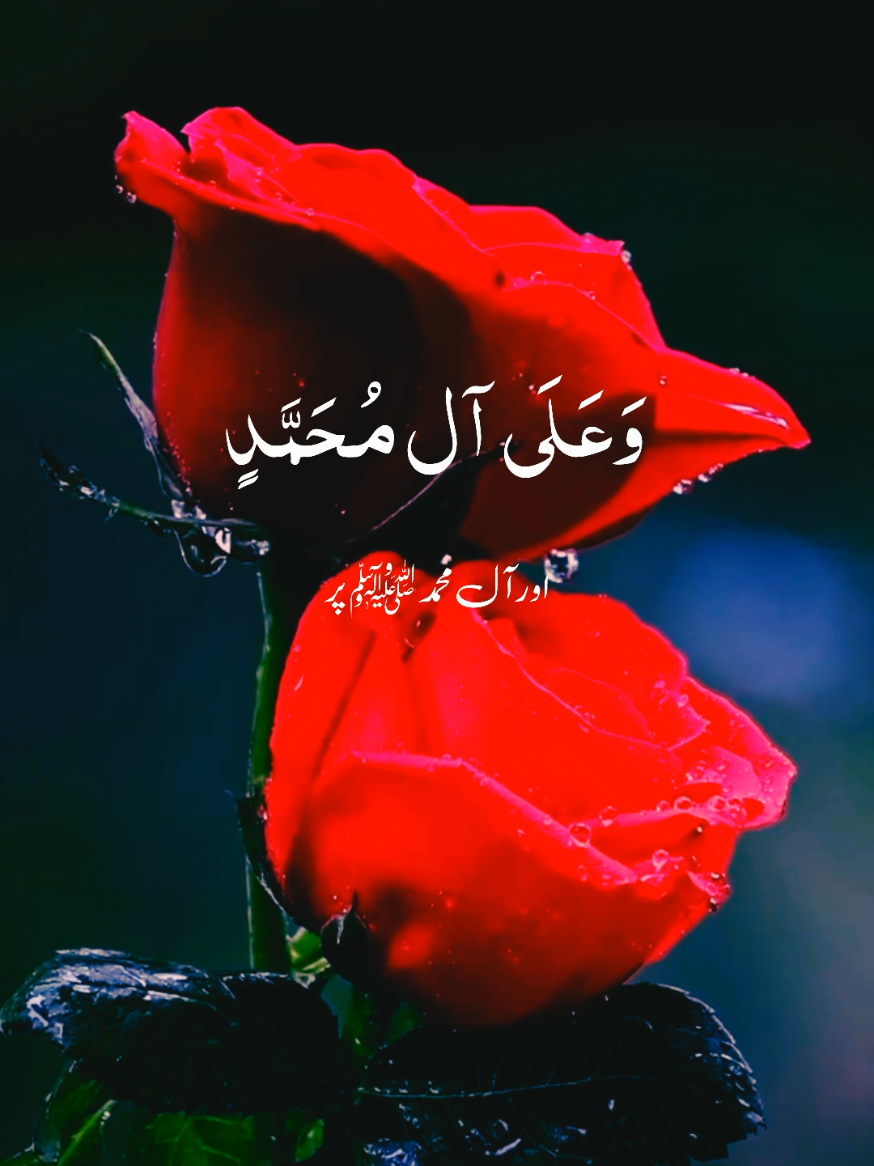 #DUROODSHAREEF #alquran_recit313 #foryoupage #muslim #muslimtiktok 