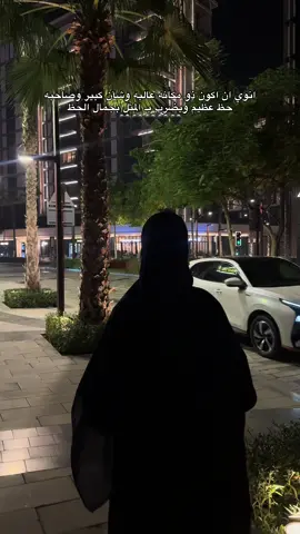 🇦🇪