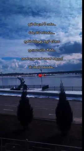 ඔබ නිදොස් වී යන්න.. 💔 SUSANAYA (සුසානය) | Dinendra Jayaweera Bandara  #srilankan_tik_tok🇱🇰 #srilanka #foryoupage #foryou #music #fyp #Trending #viral 