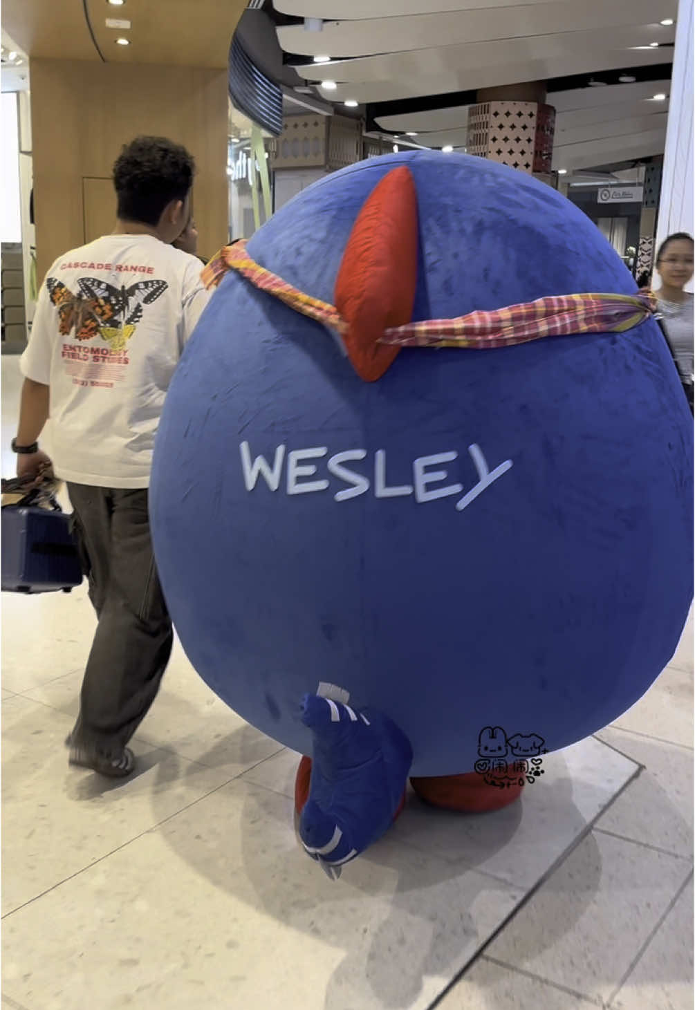 padapada#wesley #williamest #gmm 
