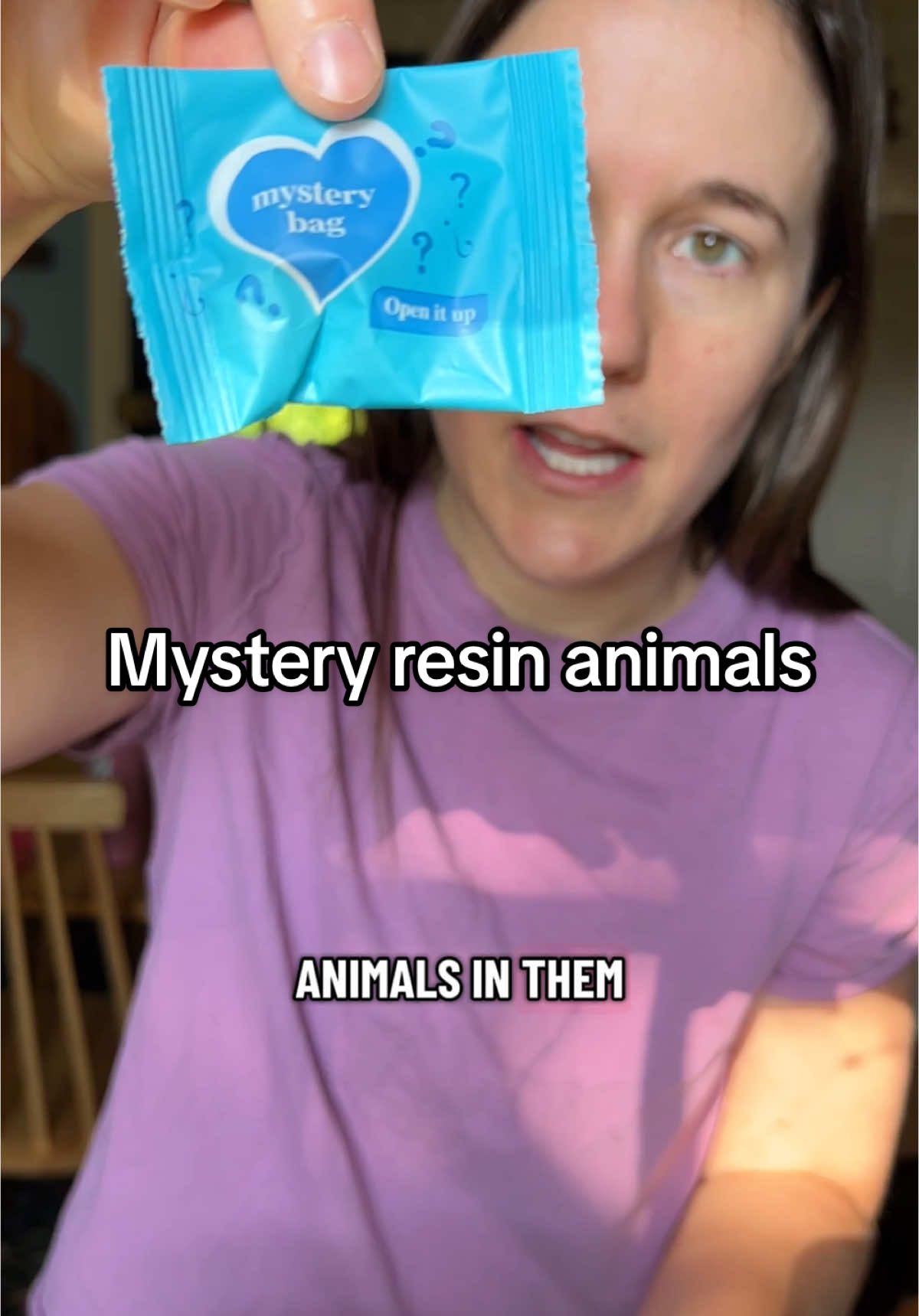 Replying to @Stacy❤momanddad free shipping!! #momhack #momhacks #rewardsystem #chores #resinanimals #mysterybox #mysterybag 