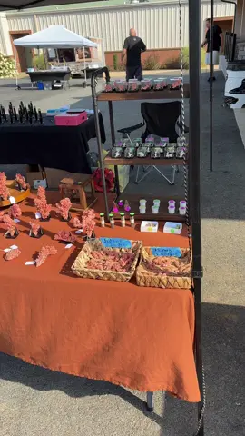 #copper #crystalshow 