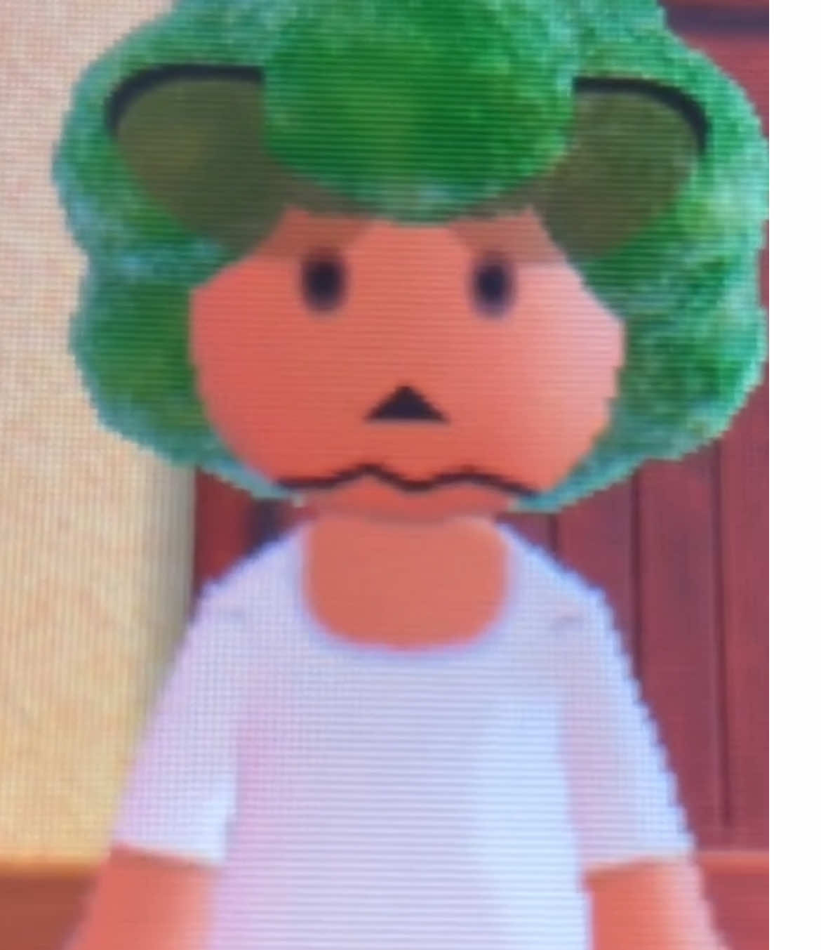 Queen the Brown Bear (Tomodachi Life) #tomodachilife #Queen 