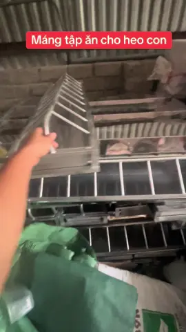 Máng tập ăn cho heo con 10-12-14-20 ô . Chất liệu inox 430 không gỉ . #xuhuong #channuoi #channuoiheo #dungcuchannuoiheo #mangtapanchoheocon 