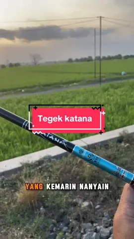 Tegek katana #fishing #mancing #fyp #viraltiktok #17agustus 