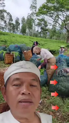 #salamsejahtera #kangdedimulyadi #dedimulyadi #bapakaing #kdm 