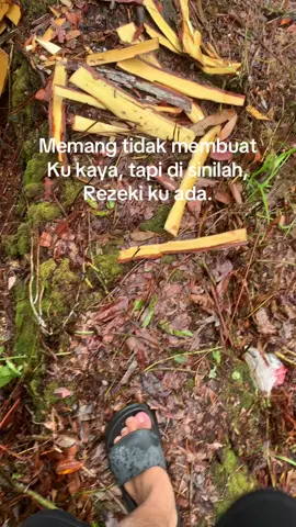 #tambangemaskalimantan #panyedotan #fyp #kulitambangkalimantan 