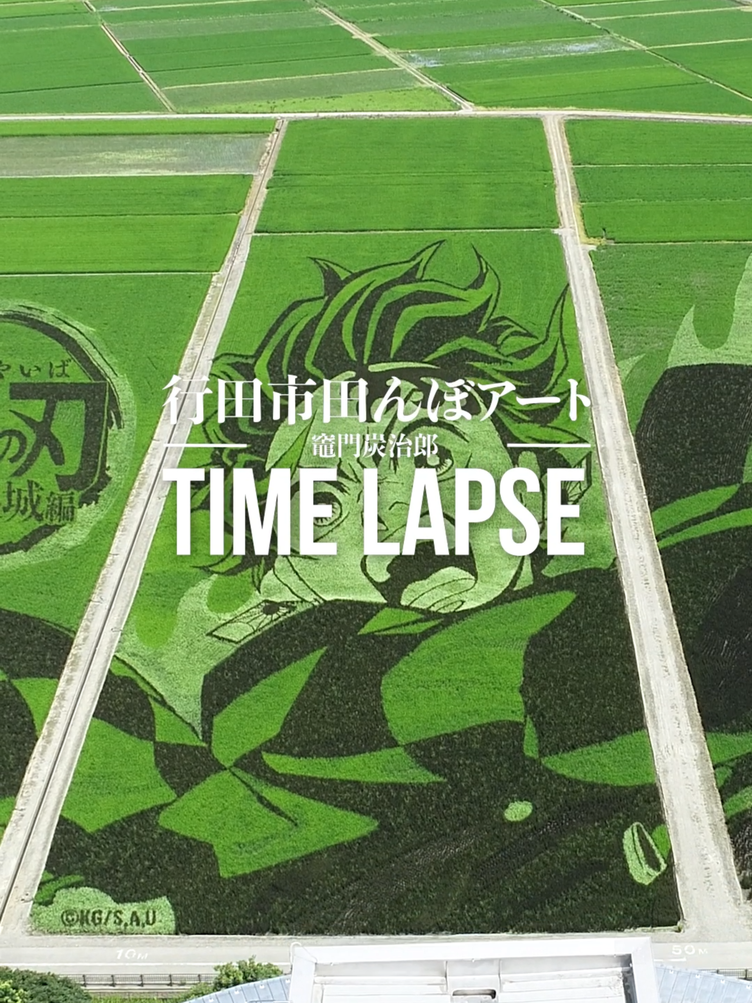 【行田市田んぼアート】田んぼアートの見頃を記念して6月12日から8月8日までの行田タワーからのタイムラプス映像をお届け！ 『劇場版「鬼滅の刃」無限城編 第一章 猗窩座再来』 全国劇場にて公開中！ #鬼滅の刃 #DemonSlayer #anime