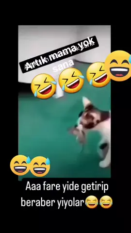 #komikvideo 