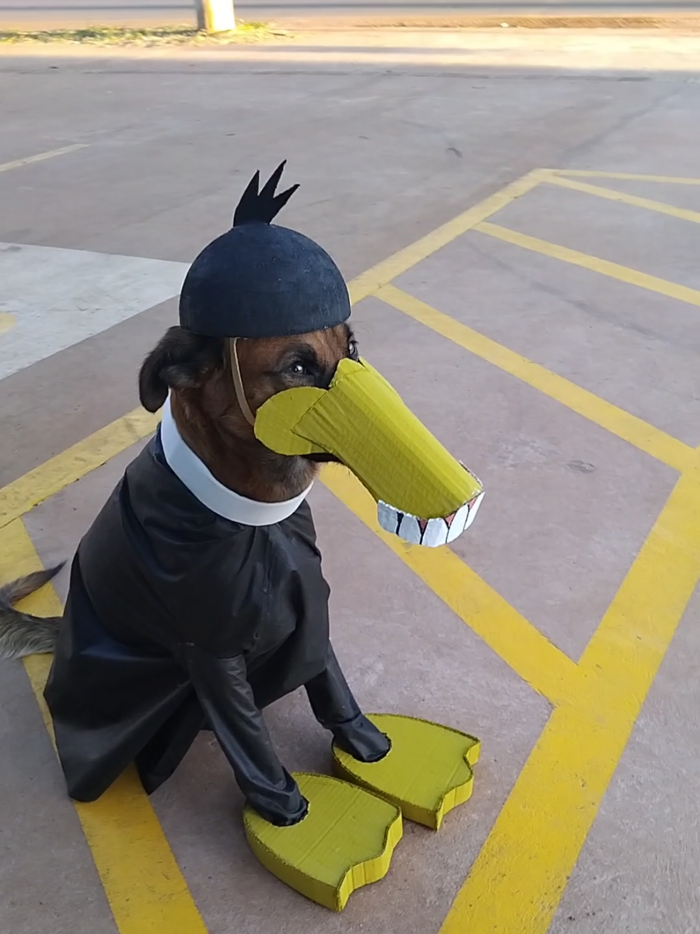 COSPLAY PATOLINO DENTUÇO 🐶 #cosplay #desenho #looneytunes #patolino #dog 