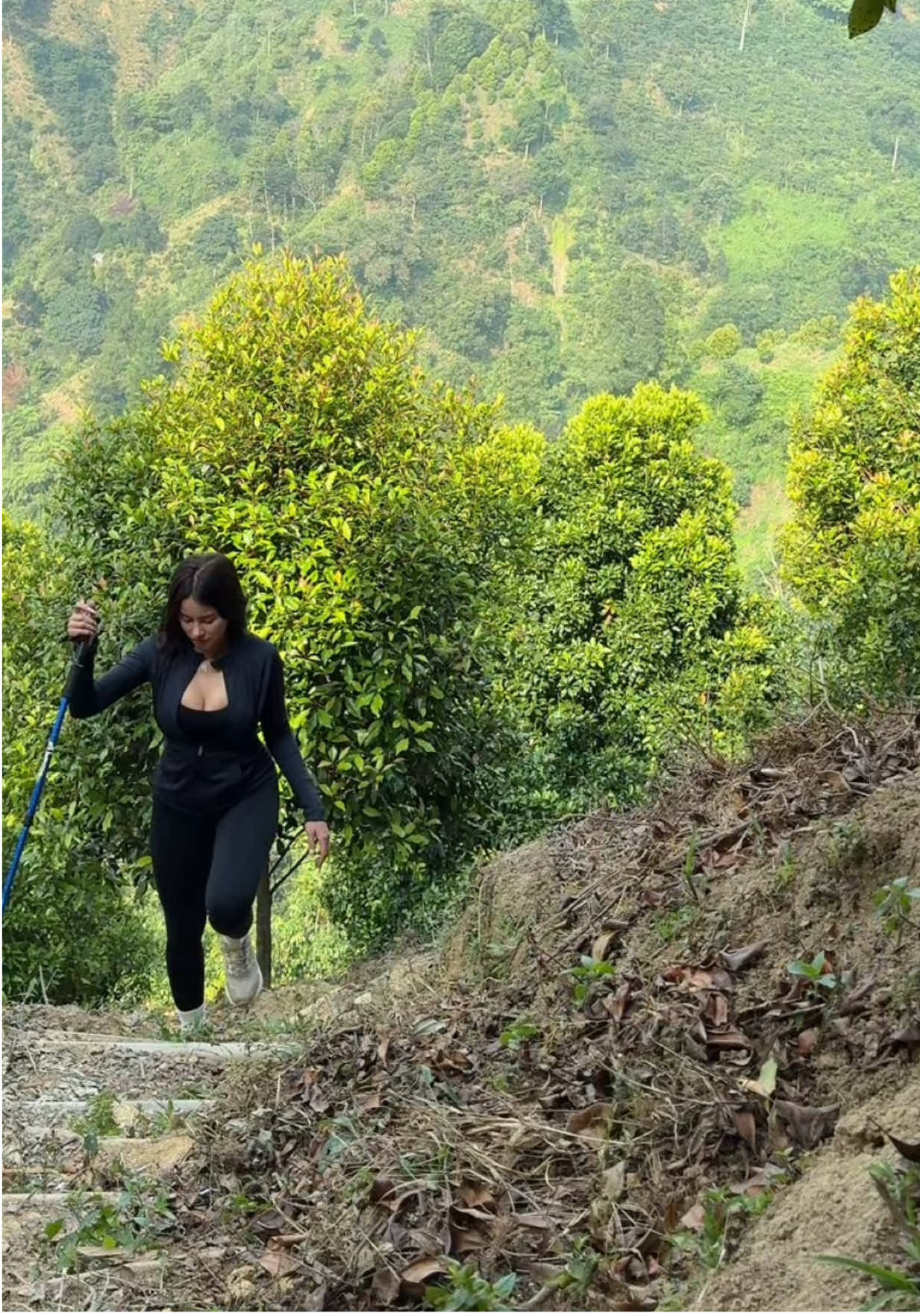 Mendaki bukit indonesia
