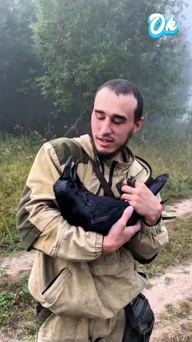Il a apprivoisé un corbeau 