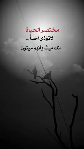 مختصر الحياة  لاتؤذي احداً... إنك ميتٌ وأنهم ميتون #اقتباسات_من_الحياة💕 #اكسبلورexplore #fy 