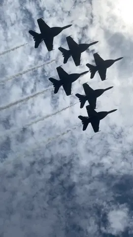 since y'all really liked that other video here is some snippets of blue angels at the chicago air & water in previous years #aviation #blueangels #f18 #pilot #jets 