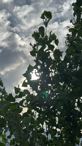 кυя∂ιѕтαη ~ 🌬️🌤️💫