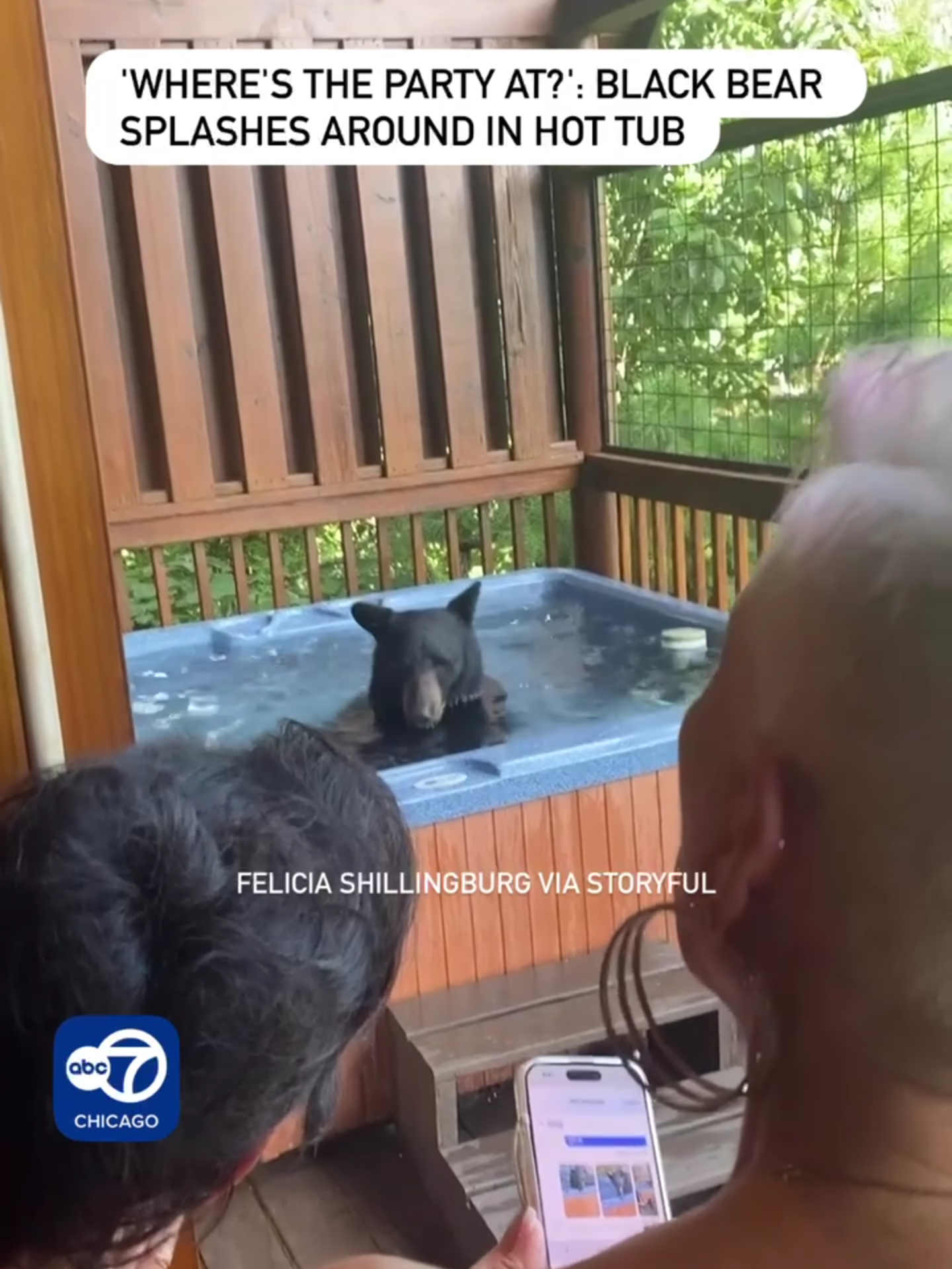 A black bear was caught relaxing and splashing about in a hot tub in Pigeon Forge, Tennessee, on Wednesday, August 6. Felicia Shillingburg said she was in the hot tub of a rental with her mother and a friend when the bear came around the corner and onto the wooden deck, causing the trio to flee. Video captured by Shillingburg shows them joke about the bear having a dip. Shillingburg can be heard saying, “He was hot. He said, ‘Where’s the party? Where’s the party at?’” The source shared the footage to Facebook and said the bear was not aggressive and seemed to be “very comfortable with humans.” Speaking to Storyful, Shillingburg said the bear left soon after it got out of the tub. “He just took a dip and left,” Shillingburg said. #news #bear #blackbear #tennessee