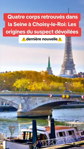Quatre corps retrouvés dans la Seine à Choisy-le-Roi: Les origines du suspect dévoilées #drame #choisyleroi #seine #suspect #enquete 