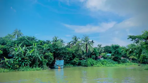#প্রকৃতির_অপূর্ব_সৌন্দর্য🥰 #ফরইউতে_দেখতে_চাই #প্লিজ_একটা_শেয়ার_করবেন। 