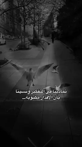 #CapCut #لاتشاهد_وترحل_دعنا_نرى_لك_اثر_طيب🌹 #تصاميم_farah_al_hyaat #farah_al_hyaat #قهوتي_farah_al_hyaat🤎 