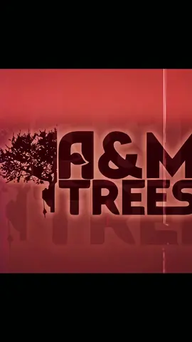 #A&MTree #CapCut 
