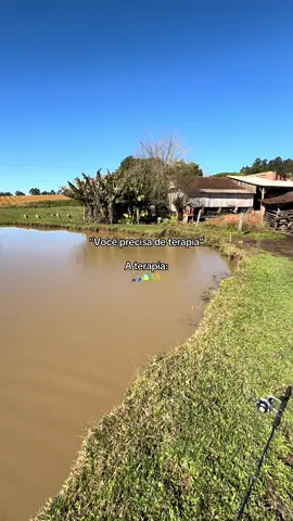 #fazenda #foryoupage #roça #viralvideos #viralizarnotiktok 