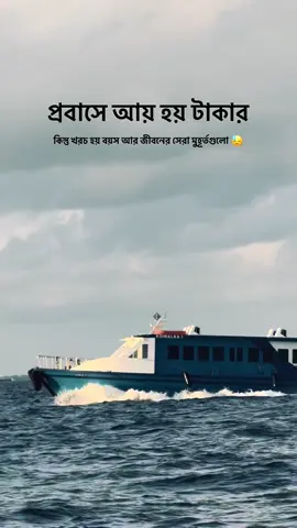 প্রবাসে আয় হয় টাকার কিন্তু খরচ হয় বয়স আর জীবনের সেরা মুহূর্তগুলো 😓 #প্রবাসী #প্রবাসীজীবন #viralvideo #fouryoupage #viral 