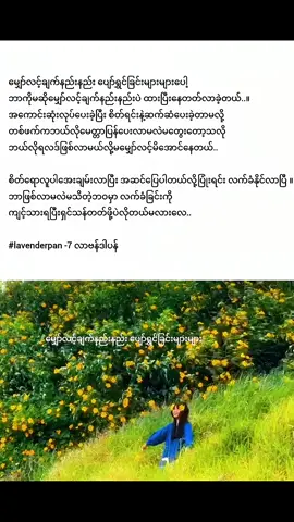 ပြုံးပြုံးလေးပဲလက်ခံတတ်ခဲ့ပါပြီ.. #ဆရာမလာဗန်ဒါပန် #lavenderpan #စာတို #fypage #healing 