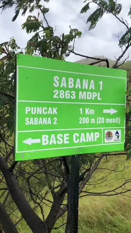 #Pos6sabana1#suwantingmerbabu #summit #pendakigunung #pyyyyyyyyyyyy 