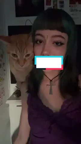 my kitty is my bf #fyp #fy #thursday #cat 