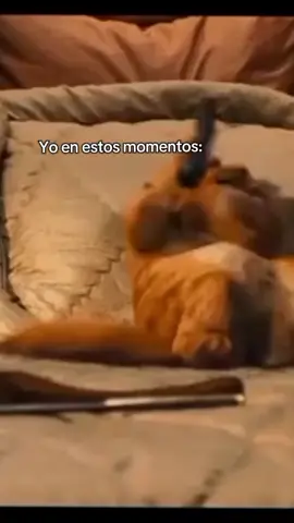 #jajaja#video#viral#paratiiiiiiiiiiiiiiiiiiiiiiiiiiiiiii 