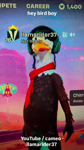 hey bird boy