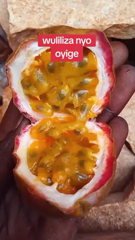 #salongolugemwa#fypシ゚  #goviraltiktok #canada🇨🇦 #ugandansindubai🇦🇪🇦🇪 