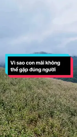 Vì sao con mãi không thể gặp đúng người? #hanhphuc #chualanh #tinhyeu #postcard #gaplaichinhminh 