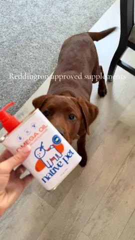 Redd says thankyou @Native Pet for sending this; keeping me healthy and growing strong. #puppy 