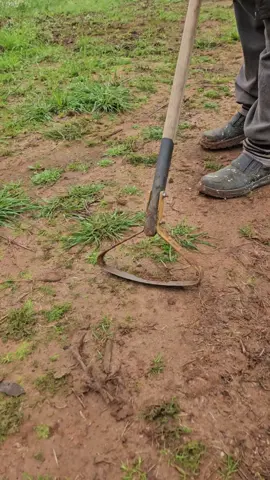 #agro #agricultura 