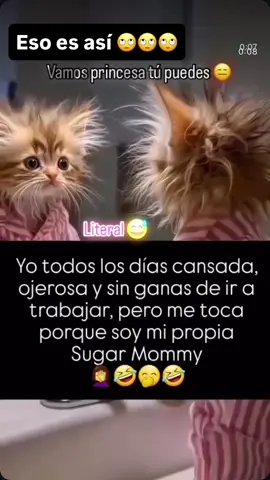 #esoesasi🙄🤣😂 