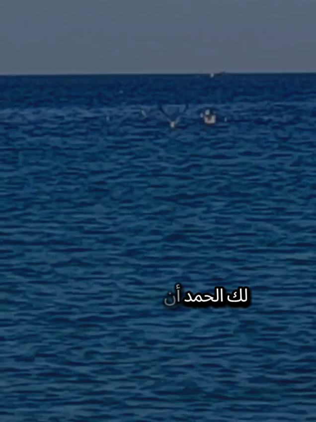 لك الحمد أن أكرمتنا بمحمد إماماً وأنزلت الكتاب لنهتدي وألهمته الأخلاق فهو عظيمها كما شئت يسمو المقتدون بأحمد وقلت لنا صلوا عليه وسلموا فيا ربي أكرم بالصلاة وأرشدي #تركيا #اسطنبول #شعروقصايد #اللهم_صلي_على_نبينا_محمد #الله 