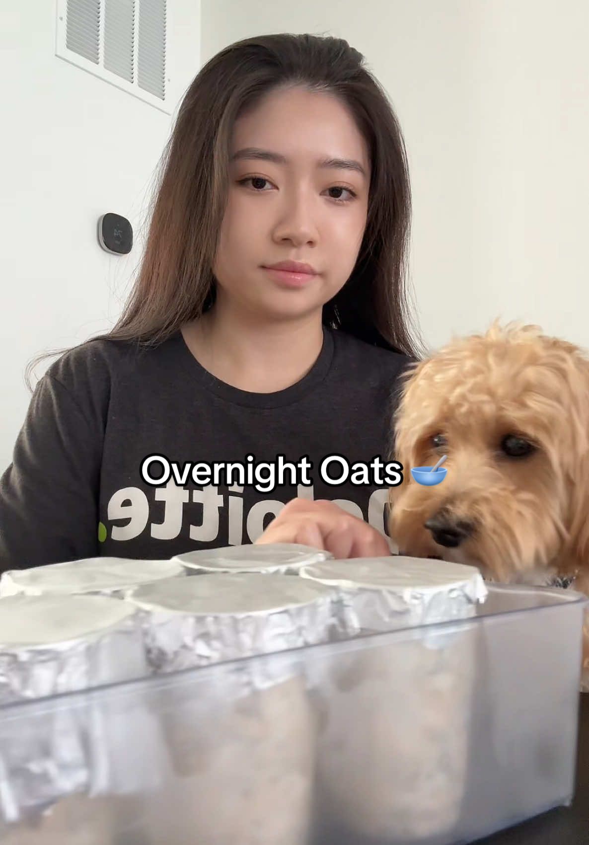 Made Overnight Oats 🥣 #healthyrecipes #먹방 #mukbang #먹방asmr #dogsoftiktok 