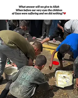 Ya Allah… protect the innocent and hungry children of Palestine. Remove fear, tears, and the pain of hunger from their little hearts. Grant them peace, food, and smiles again 😭🙏🏻🤲🏻🇵🇸#standwithpalestine #freepalestine #freepalestine #prayforpalestine #freepalestine 