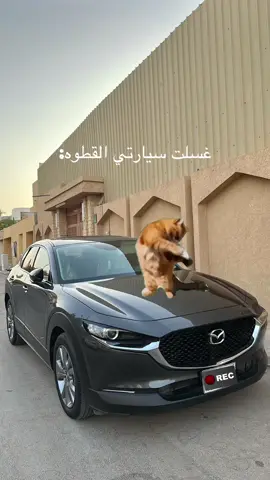 #foryou #اكسبلورexplore #fyp #mazda ما شاءالله  🤣🤍
