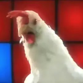Chicken Song - Canciones infantiles #chickensong #chiken #cancionesinfantiles #infantiles 