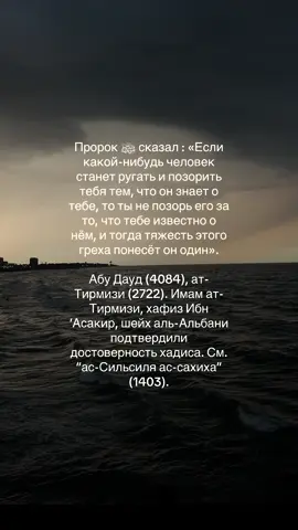 🩶#ислам_религия_мира_добра #ислам #исламрелигия #рек #реки #рекомендации 