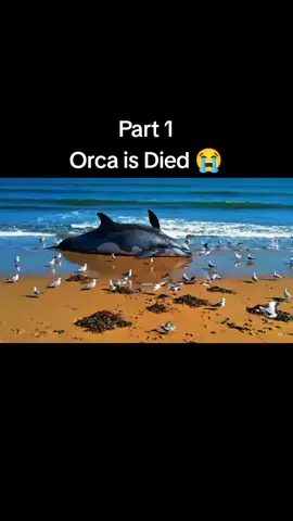 orca is died 😭 #orca #orcas #foryou #trendingg #jessika 